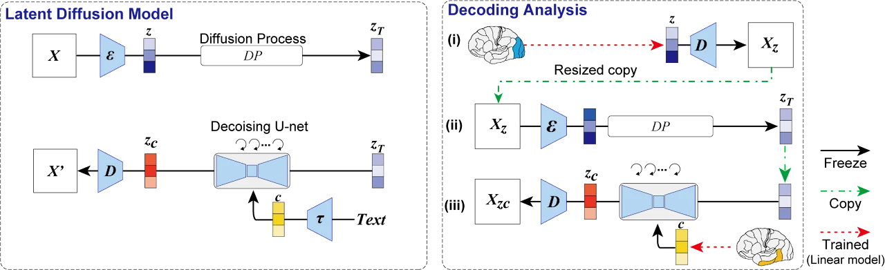Figure 2 from “High-Resolution Image Reconstruction with Latent Diffusion Models from Human Brain Activity”